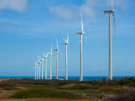 Aruba Wind Power Picture