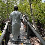 Gazi Boardwalk (8)