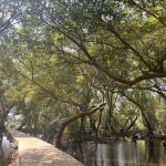 VB Bridge Project (1)