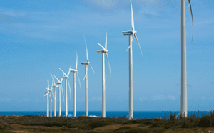 Our service for carbon offsetting - a row of wind turbines