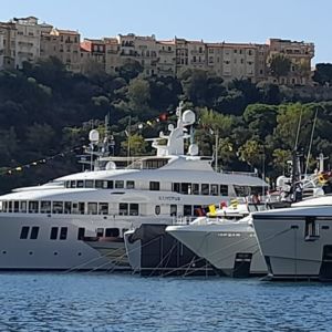 • A line of superyachts considering carbon offsets in the superyacht community