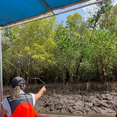 VB Mangroves from the boat (Rachel)