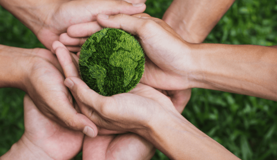 Yacht Carbon Offset (10)
