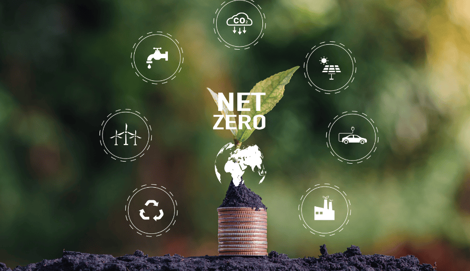 Yacht Carbon Offset (20)