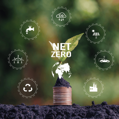 Yacht Carbon Offset (20)